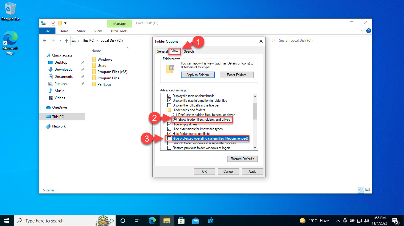 Afficher les fichiers et dossiers cachés et protégés dans Windows 11/10