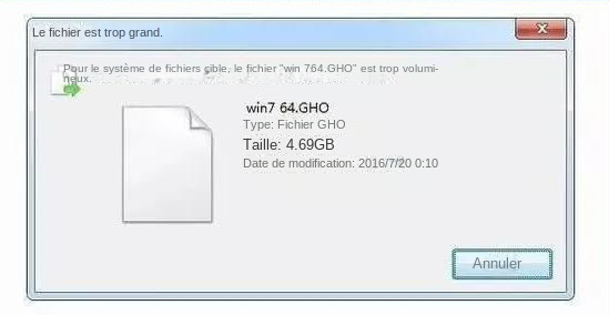 Comment envoyer un fichier trop volumineux à une clé USB ? - Rene.E