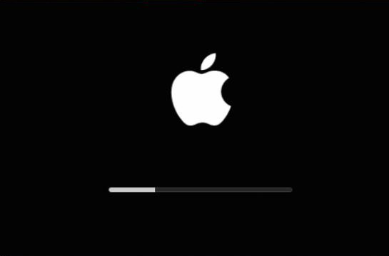 Le logo Apple apparaît à l'écran