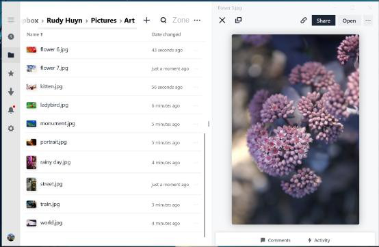 Interface client Dropbox