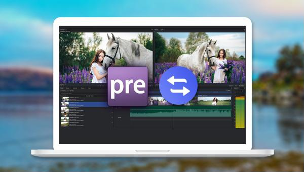 Un logiciel pour créer un clip vidéo en écran partagé qui peut remplacer Adobe Premiere Elements