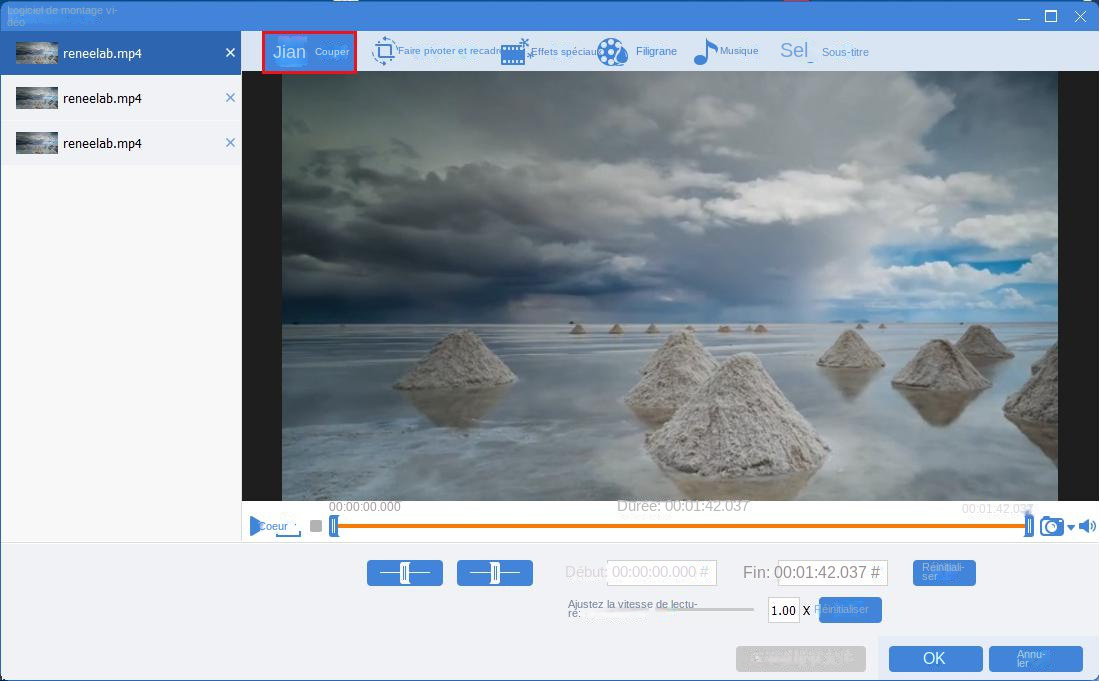 (Tutoriel pratique) Comment créer une vidéo d'anniversaire ? - Rene.E