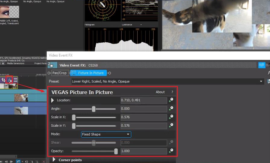 Ajuster la position et la taille de la vidéo sur écran partagé