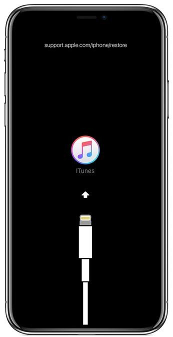 iPhone connecté à iTunes