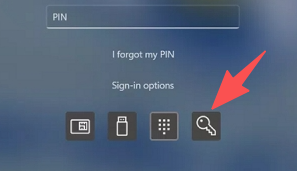 utiliser l'option de mot de passe pour se connecter à la place.