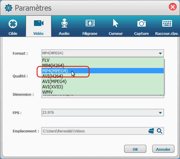 Sélectionner le format MP4 pour la vidéo de sortie-Renee Screen Recorder