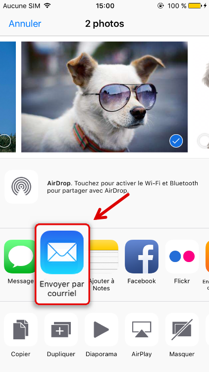 Envoyer les photos d'iPhone par e-mail - Renee iPhone Recovery