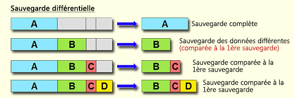 Sauvegarde différentielle - Renee Becca