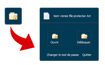 Mettre un mot de passe sur le fichier d'un disque dur externe - Renee File Protector
