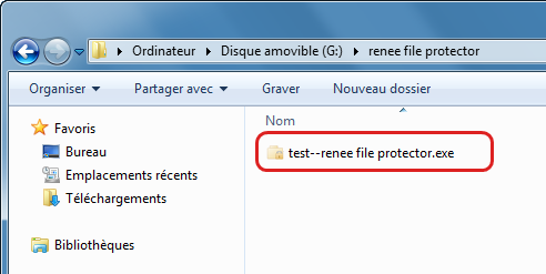 Mettre un mot de passe sur le fichier d'un disque dur externe - Renee File Protector