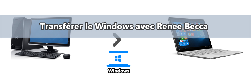 Transférer le Windows avec Renee becca