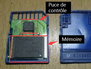 Structure interne de la carte SD