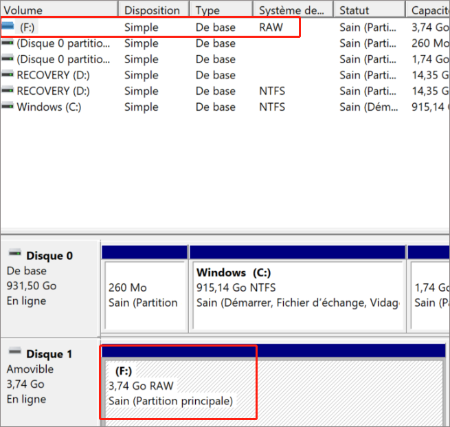 la carte SD avec le système de fichier en RAW ne peut pas être réparée par CHKDSK