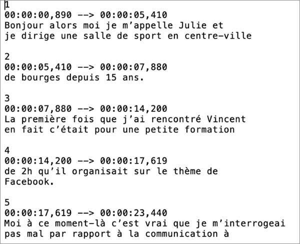 exemple de fichier SRT