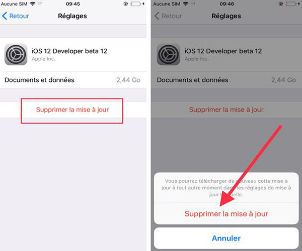 supprimer la mise à jour iOS