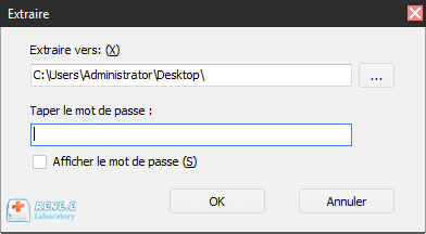 cracker le mot de passe de Word avec Renee File Protector