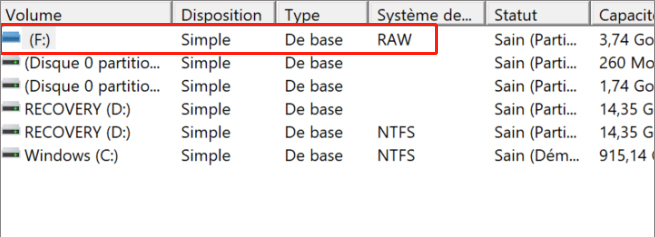 Système de fichiers de la carte SD en RAW