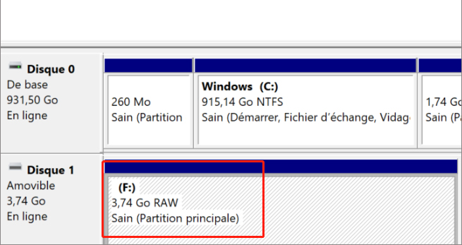 carte SD en RAW dans la Gestion des disques