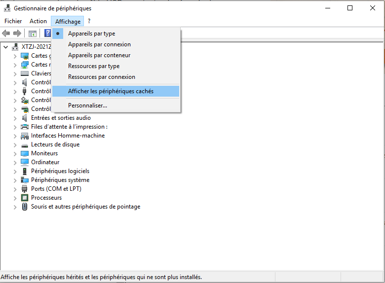 afficher les périphériques cachés