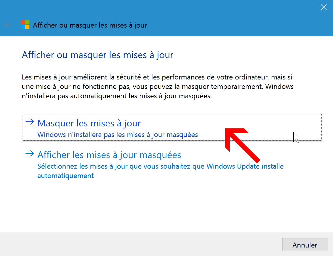 afficher ou masquer les mises à jour Windows