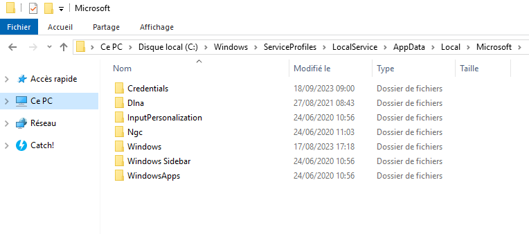 dossier ngc dans Windows